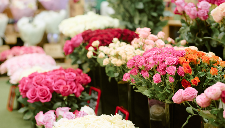 ROSAS